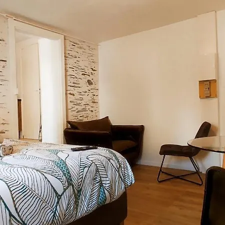 Appartement La Douce Angevine - La Perruche - Proche Centre *