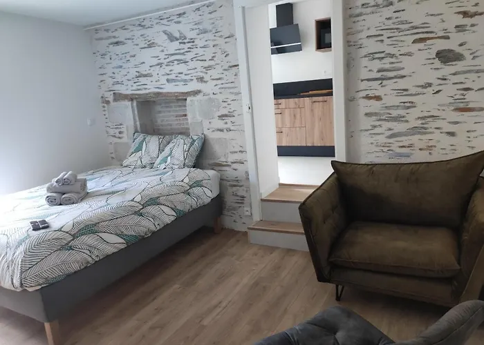 La Douce Angevine - La Perruche - Proche Centre Апартаменты *