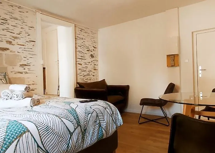 Апартаменты La Douce Angevine - La Perruche - Proche Centre *