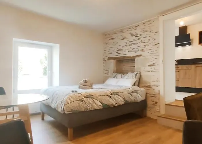 La Douce Angevine - La Perruche - Proche Centre Анже