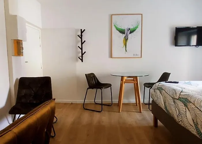 La Douce Angevine - La Perruche - Proche Centre * Анже