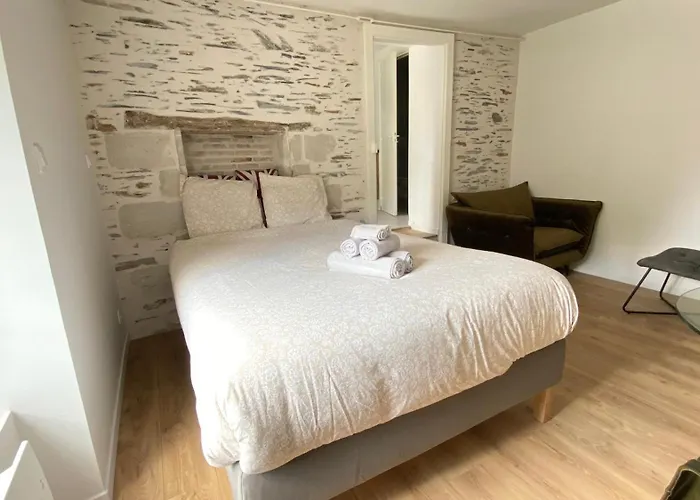 La Douce Angevine - La Perruche - Proche Centre Апартаменты