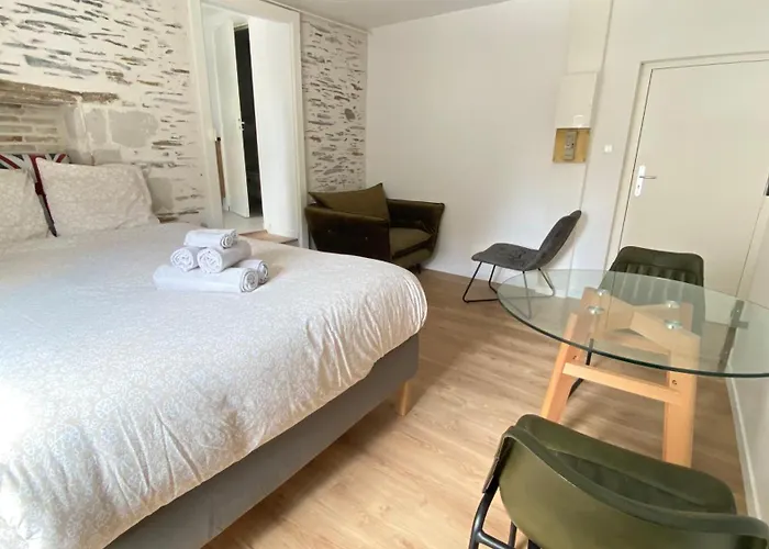 La Douce Angevine - La Perruche - Proche Centre * Анже