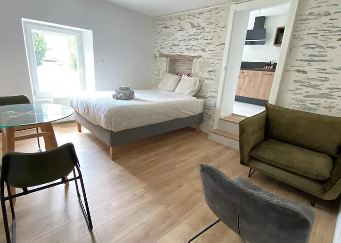 La Douce Angevine - La Perruche - Proche Centre Апартаменты Анже